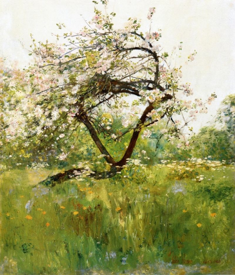 childe hassam Peach Blossoms